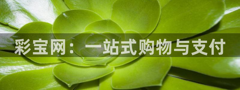 壹号大舞台下载：彩宝网：一站式购物与支付
