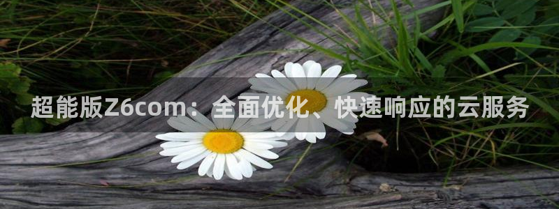 豪门国际网站：超能版Z6com：全面优化、快速响应的云服务